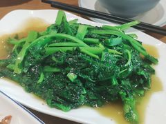 莴笋尖-灯盏窝餐厅