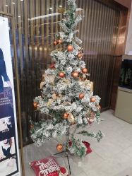 -奥本科技美肤·养生SPA