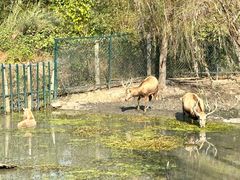 -溱湖国家湿地公园