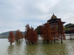 -顺峰山公园