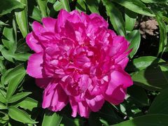 -长春公园(普阳街道)