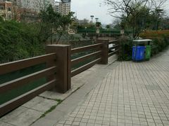 -神仙树公园