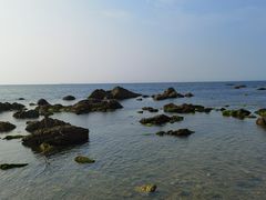 -养马岛旅游度假区