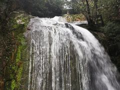 -大鄣山卧龙谷景区