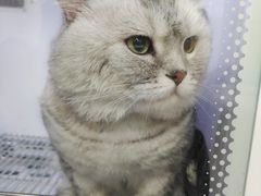 -帕帕拉兹宠物(亚洲旗舰店)