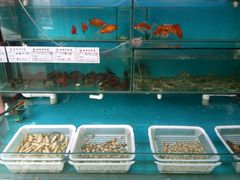 -川府沸腾鱼