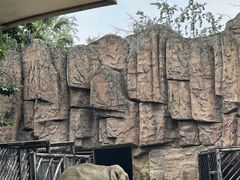 -成都动物园