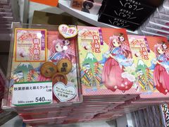 -秋叶原电器街