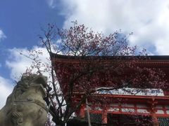-有栖山 清光院 清水寺