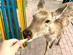 -水上乐园·欢乐世界