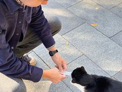 -北京中信金陵酒店