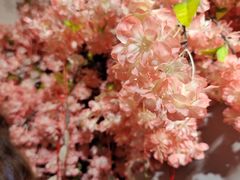 -伽利略剧本探案馆(国贸店)