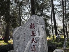-武汉大学-樱园