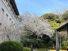 -东京国立博物馆