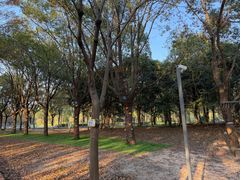 -上海浦江郊野公园-5号停车场