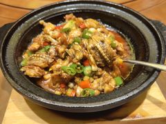 -潇湘甲鱼村(清河店)