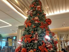 -油梨树AVOCADO TREE(嘉里中心店)