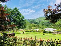 -溪口-滕头旅游景区