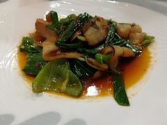土猪回锅肉-金熊猫川菜餐厅