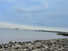 -上海吴淞炮台湾国家湿地公园