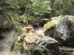 -牛背梁国家森林公园