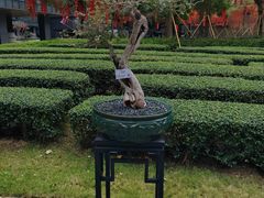 -科兴科学园