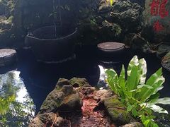 -海口火山口国家地质公园