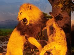 -国家自然博物馆