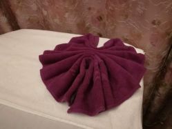 -佐登妮丝美容SPA生活馆