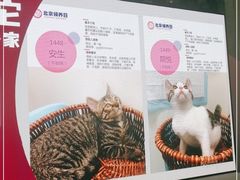 -远洋未来广场(育慧北路店)