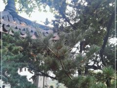 -杭州西湖风景名胜区-钱塘苏小小之墓