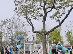 -新江湾城公园