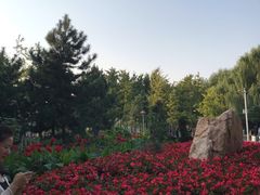 -长白岛森林公园
