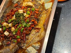 -喵探烤鱼·活鱼烤(北唐总店)