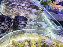 -聚盛源蒸汽海鲜火锅烤肉自助(巨川金海岸购物广场店)