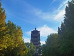 -玲珑塔公园