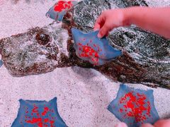 -沈阳海洋探索中心