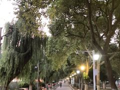 -南昌青山湖风景区