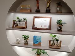 -壹点灵·心理咨询中心(中山公园店)