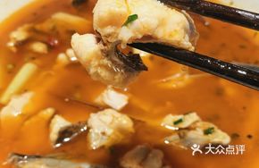 Mountain Spring Fish