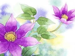 -八哥美术·成人美术画室(总校区)