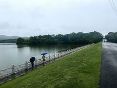 -佛手湖郊野公园
