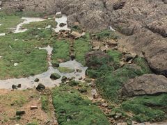 栈桥王子酒店(栈桥王子饭店)-老味道民宿(栈桥店)