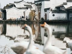 -呈坎景区