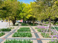 -石家庄市植物园