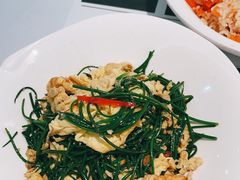 -新疆兵团食府清真(马连道店)