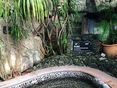 -海口观澜湖火山温泉谷