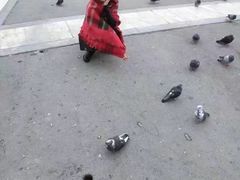 -宪法广场