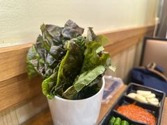 -韩阳王石板烤肉