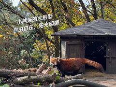 -云南野生动物园